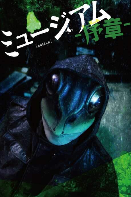 Museum: Introduction